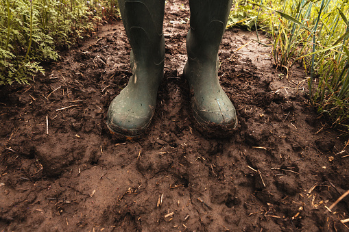 Dirty rubber boots in muddy soil, farmer standing in field after rain, selective focus