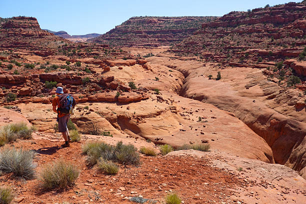 istock desert canyon country explorer 171292181
