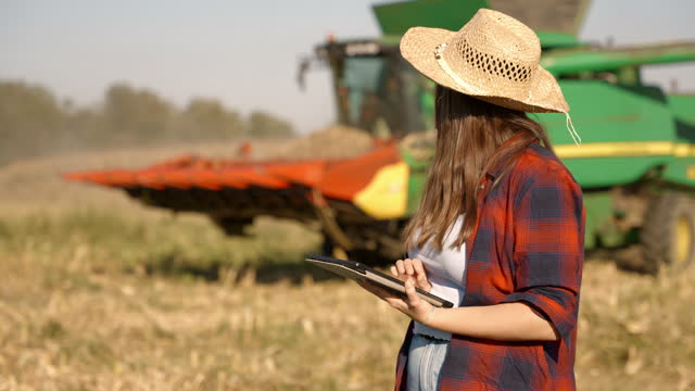 SLO MO Young Female Farmer Using Digital Table while Watching Combine Harvester Harvesting Corn Crops in Field
