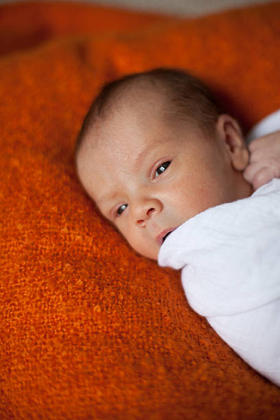 istock Small newborn baby swaddled in white blanket 171292565