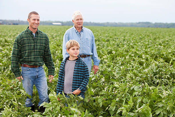 trzy pokolenia w rodzinie robotnik stojący na polu z uprawami - farmer farm family son zdjęcia i obrazy z banku zdjęć