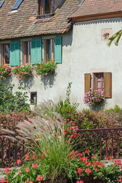 elsass-antiken alten haus mit blumen in saint hippolyte - st hippolyte stock-fotos und bilder