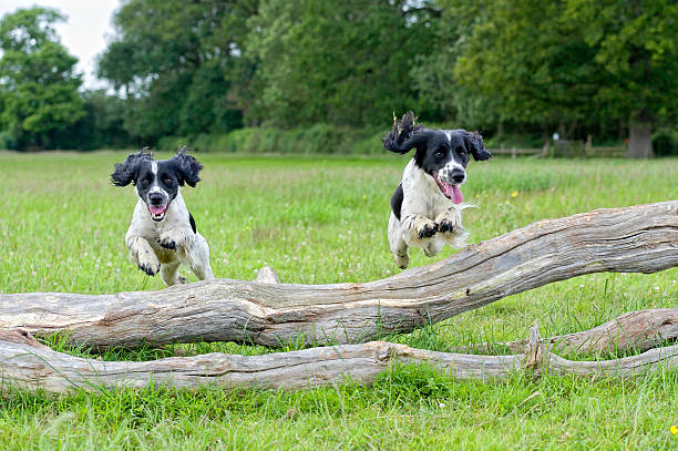 istock here come the girls 171293018