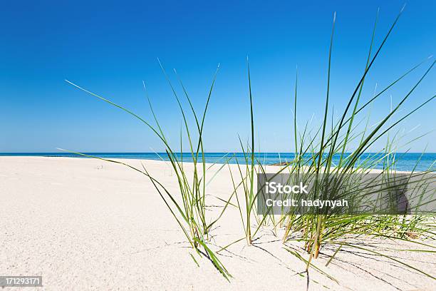 Perfekte Strandsand Dunes Und Das Meer Stockfoto und mehr Bilder von Aufnahme von unten - Aufnahme von unten, Blau, Buhne