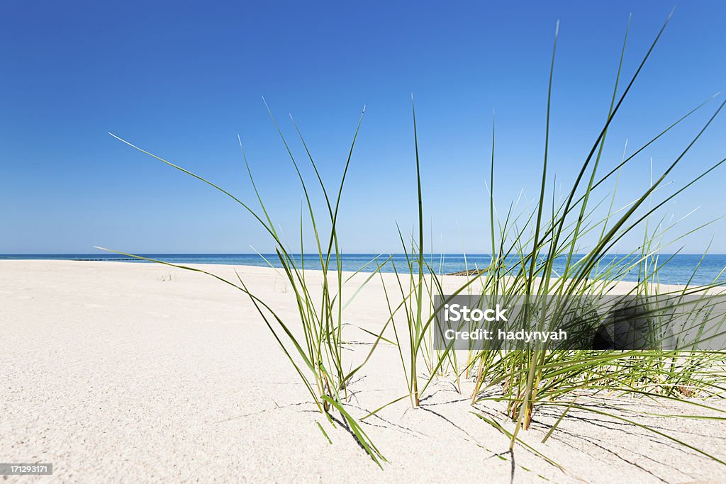 완벽 한 비치-모래 언덕과 바다 - 로열티 프리 0명 스톡 사진
