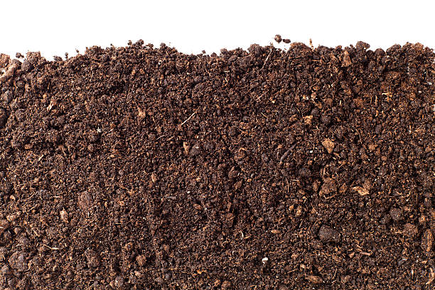 marron terre - humus soil photos et images de collection