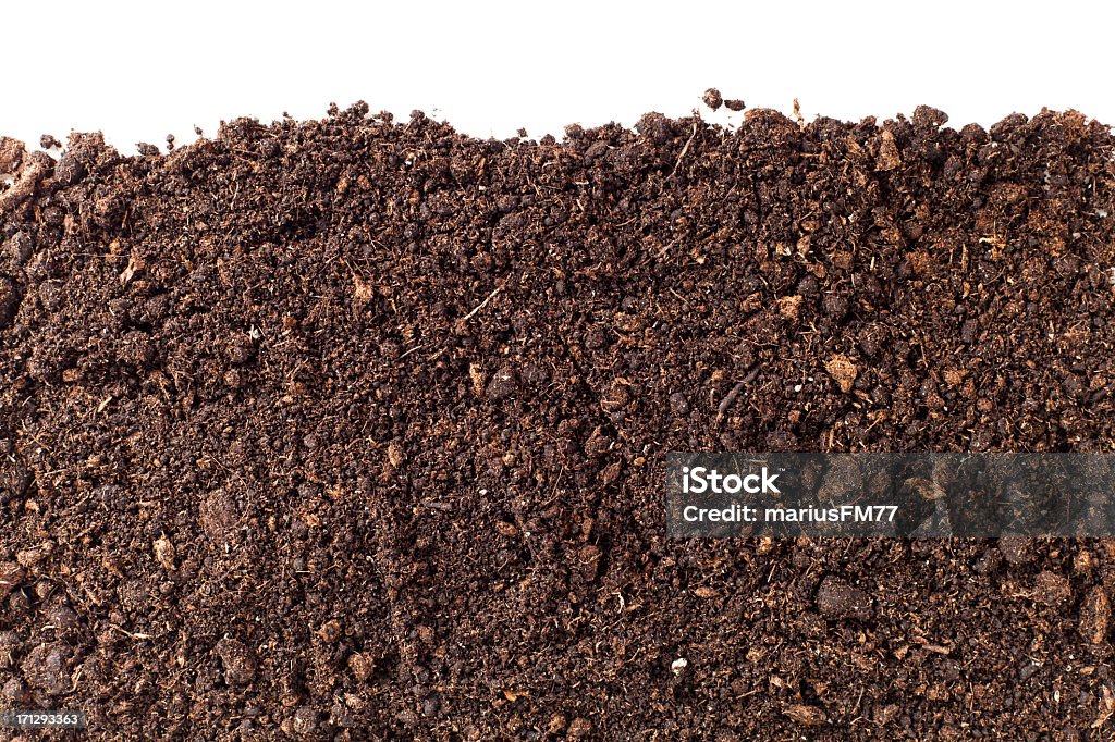 A close-up of brown dirt against a white background brown dirt background Dirt Stock Photo