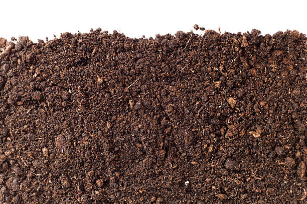 A close-up of brown dirt against a white background stock photo