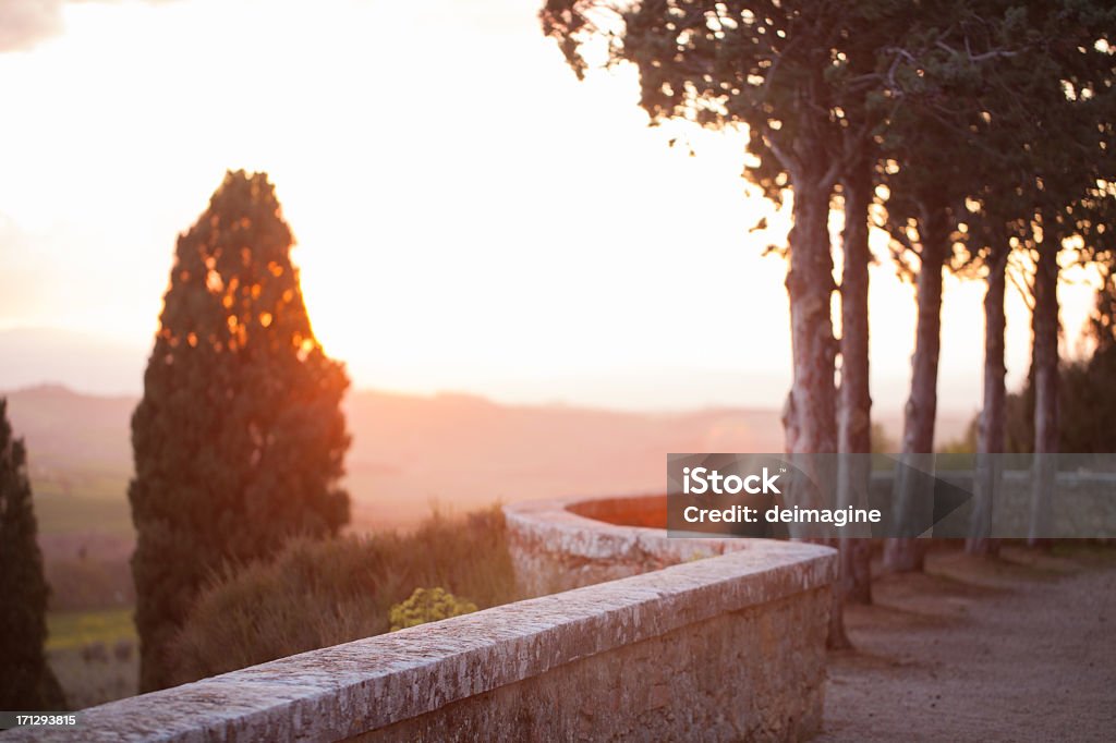 Sunset over the Tuscan hills  Please look at my image of the Tuscan region  Beauty In Nature Stock Photo