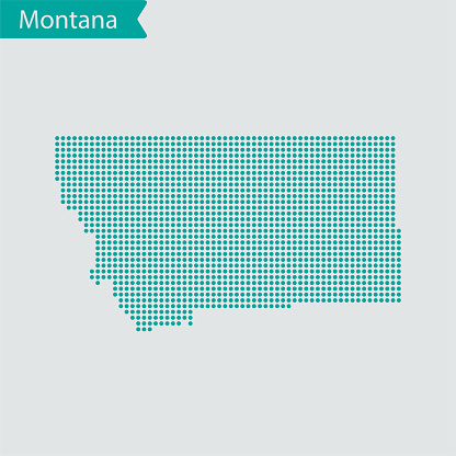 vector of the  Montana map