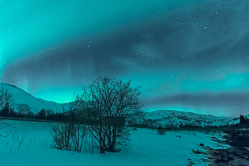 Northern Lights, polar light or Aurora Borealis in the night sky over the Lofoten islands in Northern Norway. Wide panoramic image with snow covered mountains and a fjord in the foreground.