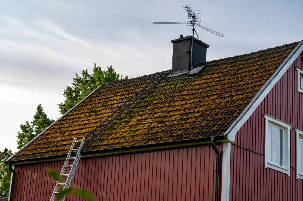 Moss covers roof tiles on house in Kumla Sweden september 2023