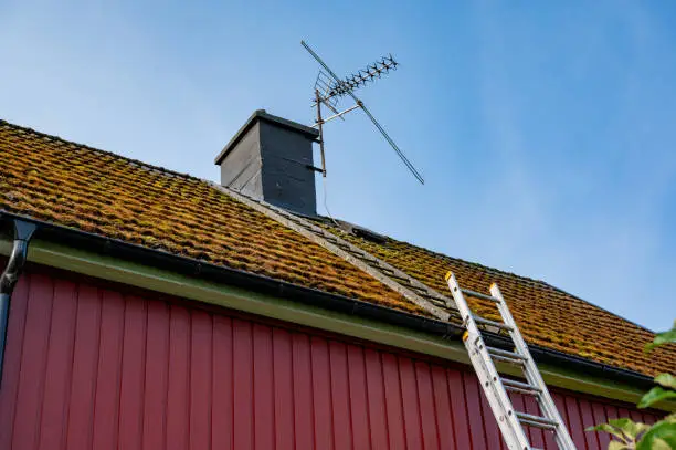 Moss covers roof tiles on house in Kumla Sweden september 2023