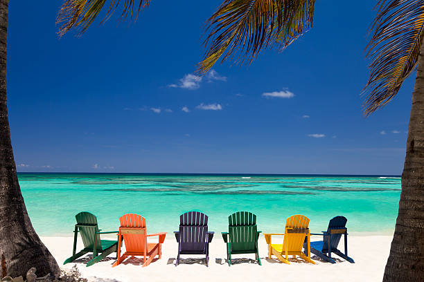 istock colorful chairs and palm trees at a tropical Caribbean beach 171294652