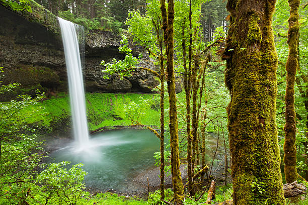 istock South Falls in the Silver Falls State Park, Oregon, USA 171295170