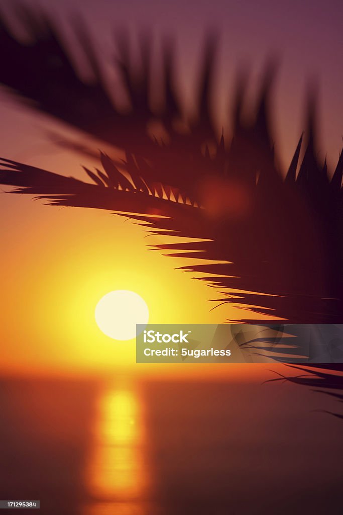 Puesta de sol Tropical - Foto de stock de Agua libre de derechos