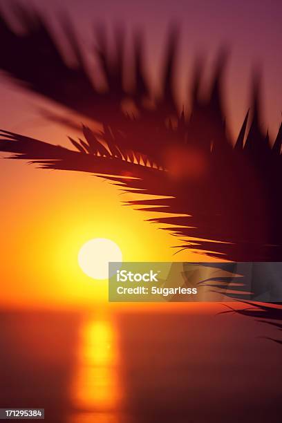 Pôr Do Sol Tropical - Fotografias de stock e mais imagens de Amanhecer - Amanhecer, Amarelo, Anoitecer