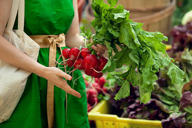 Radish bunches at Saturday market at Noordermarkt, Jordaan, Amsterdam