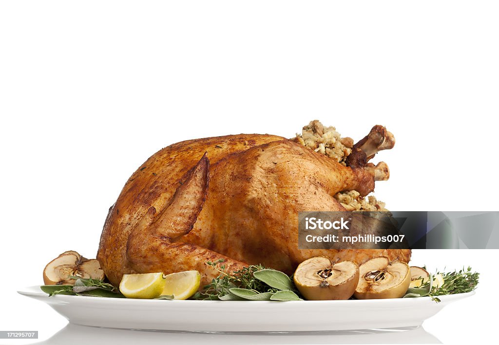 Thanksgiving Turkey Thanksgiving turkey on white background.  Please see my portfolio for other holiday and food related images.  Turkey - Bird Stock Photo