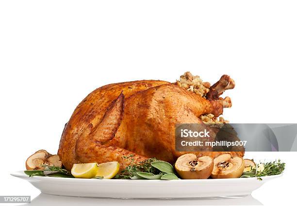 Thanksgiving Turkey Stock Photo - Download Image Now - Turkey - Bird, Turkey Meat, Christmas