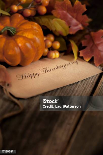 Thanksgiving Still Life Stock Photo - Download Image Now - Autumn, Berry Fruit, Brown