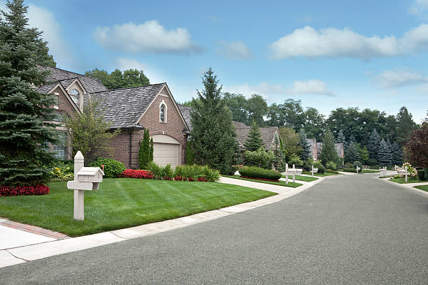 Well Groomed Neighborhood