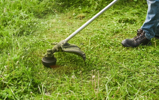 istock the mower mows the grass. close-up 1712962188