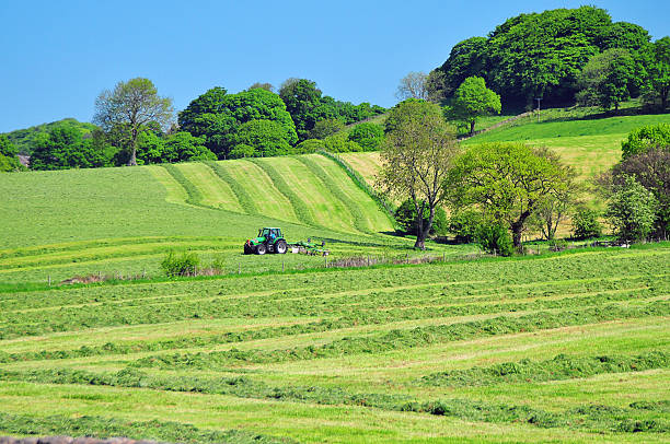 干し草作り - silage field hay cultivated land ストックフォトと画像