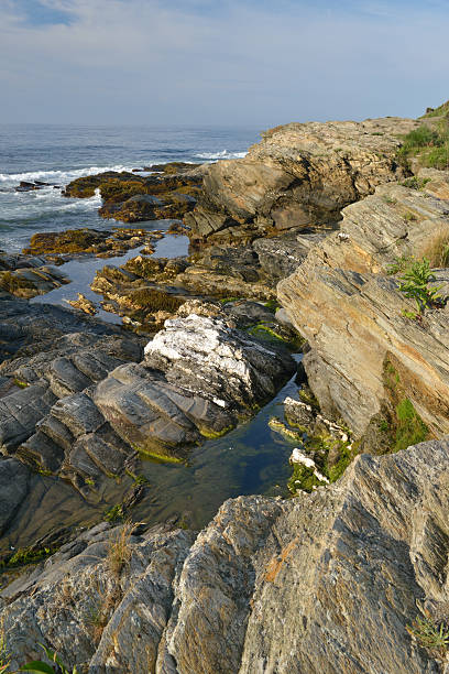 Scenery of Beavertail State Park