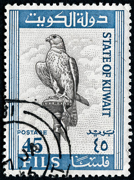 Saker Falcon Stamp Cancelled Stamp From Kuwait Featuring A Saker Falcon saker stock pictures, royalty-free photos & images