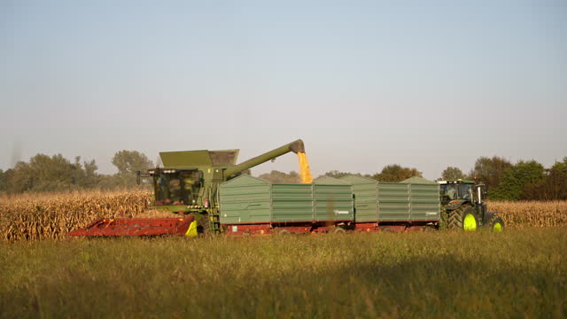 SLO MO Panning Shot of Combine Harvester Unloading Corn on Trailer of Tractor in Field on Sunny Day