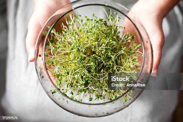 New Life Stock Photo - Download Image Now - Seedling, Jar, Seed