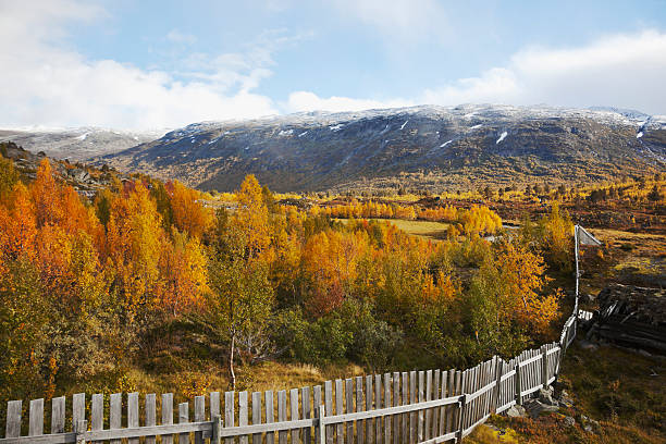 istock Autumn colors in the mountains. 171297598