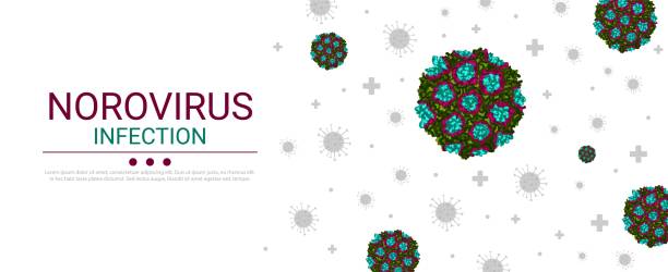 baner z infekcją norowirusową pod powiększeniem - norovirus diarrhea gastroenteritis virus stock illustrations