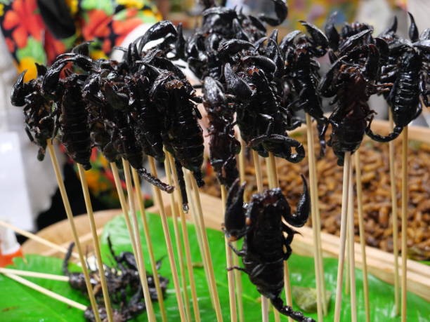 istock Exotic Snack of Scorpions 1712979202
