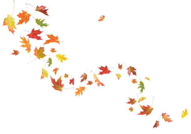 istock Autumn Leaves Blowing in the Wind 171297985