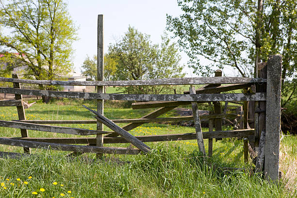 istock Polish countryside XXXL 171298020