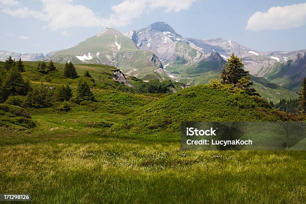 Frühling In Den Bergen Stockfoto und mehr Bilder von Landschaft - Landschaft, Landschaftspanorama, Schweiz