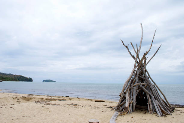 driftwood tumulo, parco nazionale abel tasman, nz - il monumento di nelson foto e immagini stock