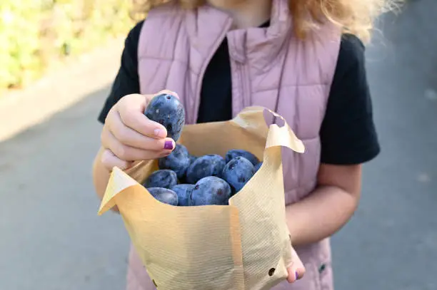 Young girl is walking on the street with a paper bag with fresh and ripe plums from the market.
