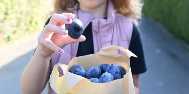Young girl with a paper bag with fresh plums from the market. Walking on the street and holding one plum in her hand. Ready to eat. Closeup, front view