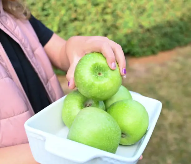 Young girl in the garden holding a bowl with fresh and ripe green apples in one hand and in the other hand a single apple