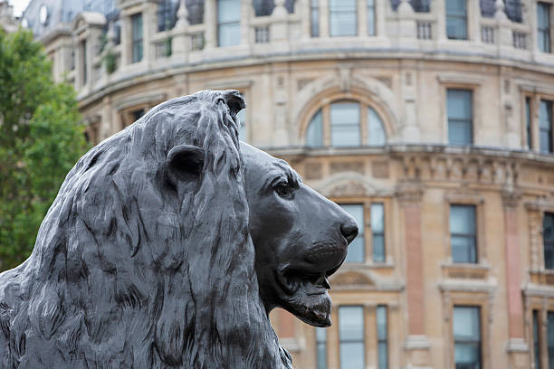statua del leone in trafalgar square - lion statue london england trafalgar square foto e immagini stock