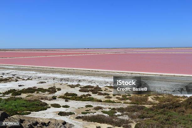 Salin De Giraud Camargue In Frankreich Stockfoto und mehr Bilder von Abgeschiedenheit - Abgeschiedenheit, Abgestorbene Pflanze, Ausgedörrt