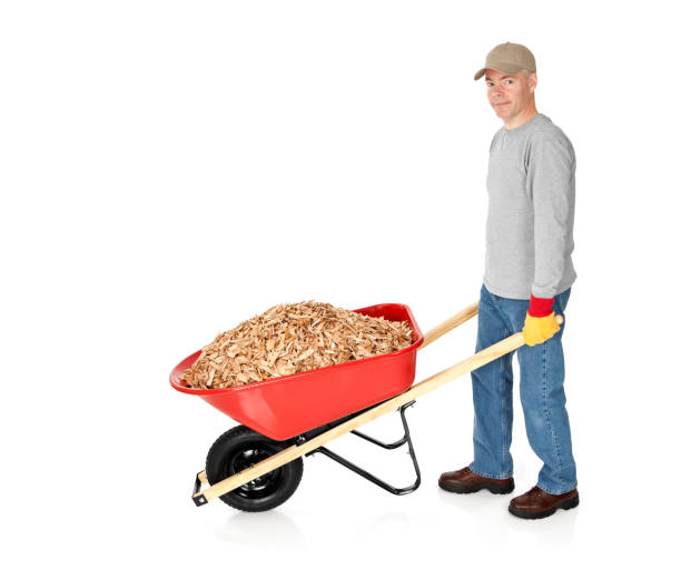 istock Gardener moving a Wheelbarrow Full of Mulch 171299740
