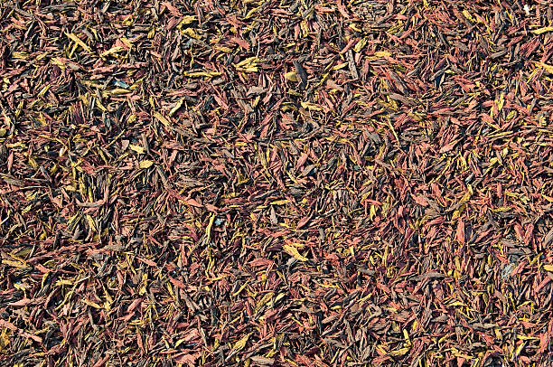 Cushioned trail bed made of shredded rubber