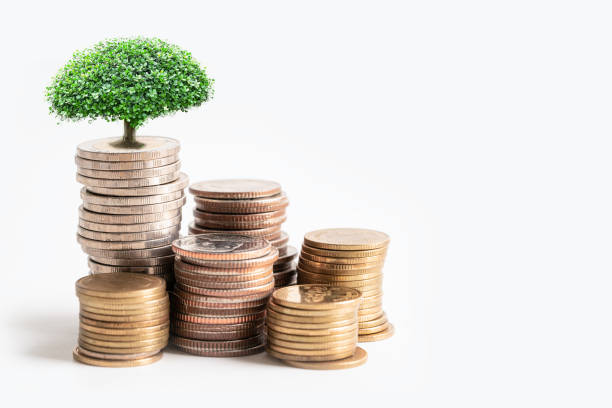 istock Tree plumule leaf on save money stack coins, Business finance saving banking investment concept. 1713002827