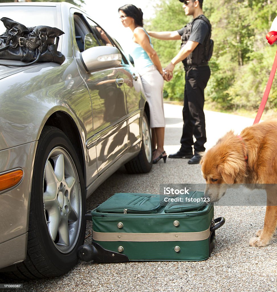 Nariz de Cachorro Policial bagagem como polícia Algema mulher em segundo plano - Foto de stock de 20 Anos royalty-free