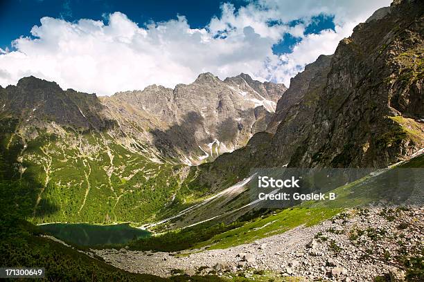 Photo libre de droit de Morskie Okolac Dans Les Montagnes De Tatra banque d'images et plus d'images libres de droit de Monts de Tatra - Monts de Tatra, Vallée, Arbre