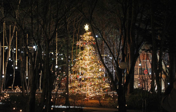 日本の軽井沢高原教会のクリスマスツリー